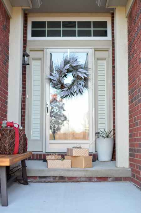 Columbus Ohio Area Professional Pet Sitter