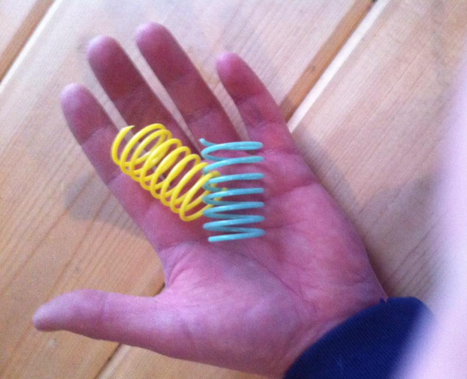 Columbus Ohio area quality cat pet sitter cat toy colorful coil springs