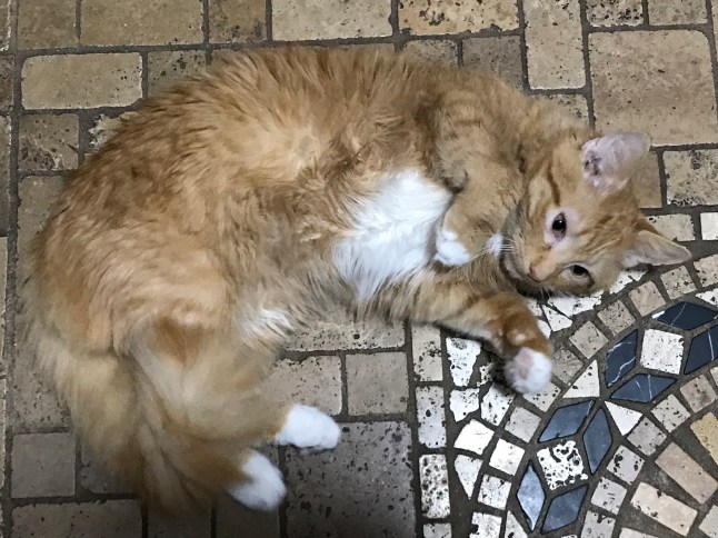 442BDA1E-B961-447B-BD5B-055FEA9CEA3E