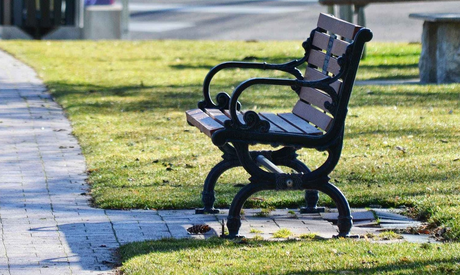 park bench columbus area dog walkers 43207 43215