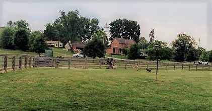 three creeks park columbus area dog walkers 43207 43215