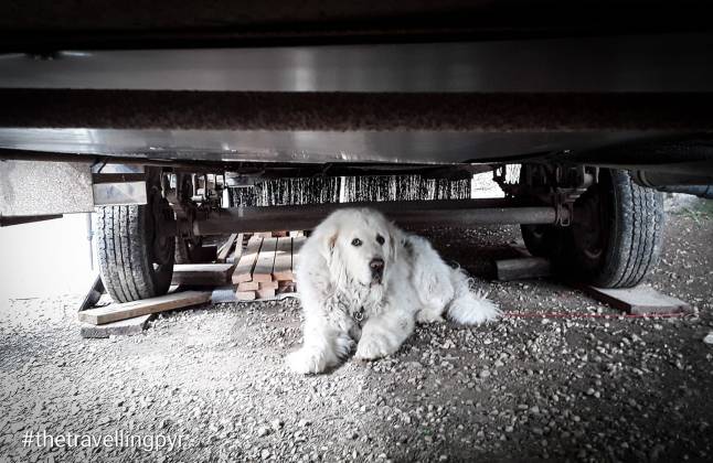 61370856_2825044917721184_5243664011920146432_o