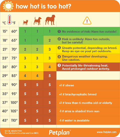 PETP_1272_how_hot_is_too_hot_UPDATED