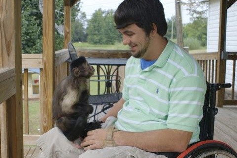 animals that have jobs.