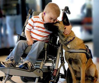 In home pet care columbus ohio professional dog walkers columbus ohio