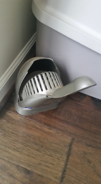 columbus ohio cat sitter